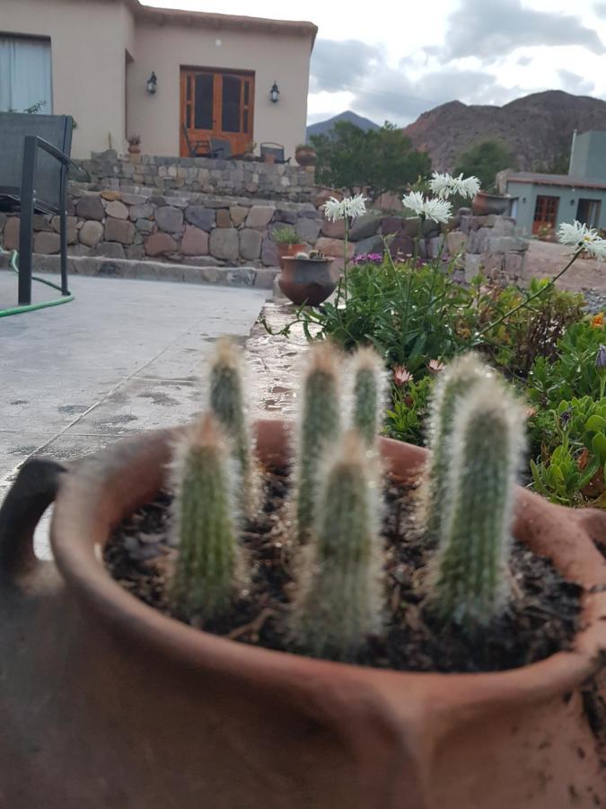 Appartement Tierra Primitiva à Tilcara Extérieur photo