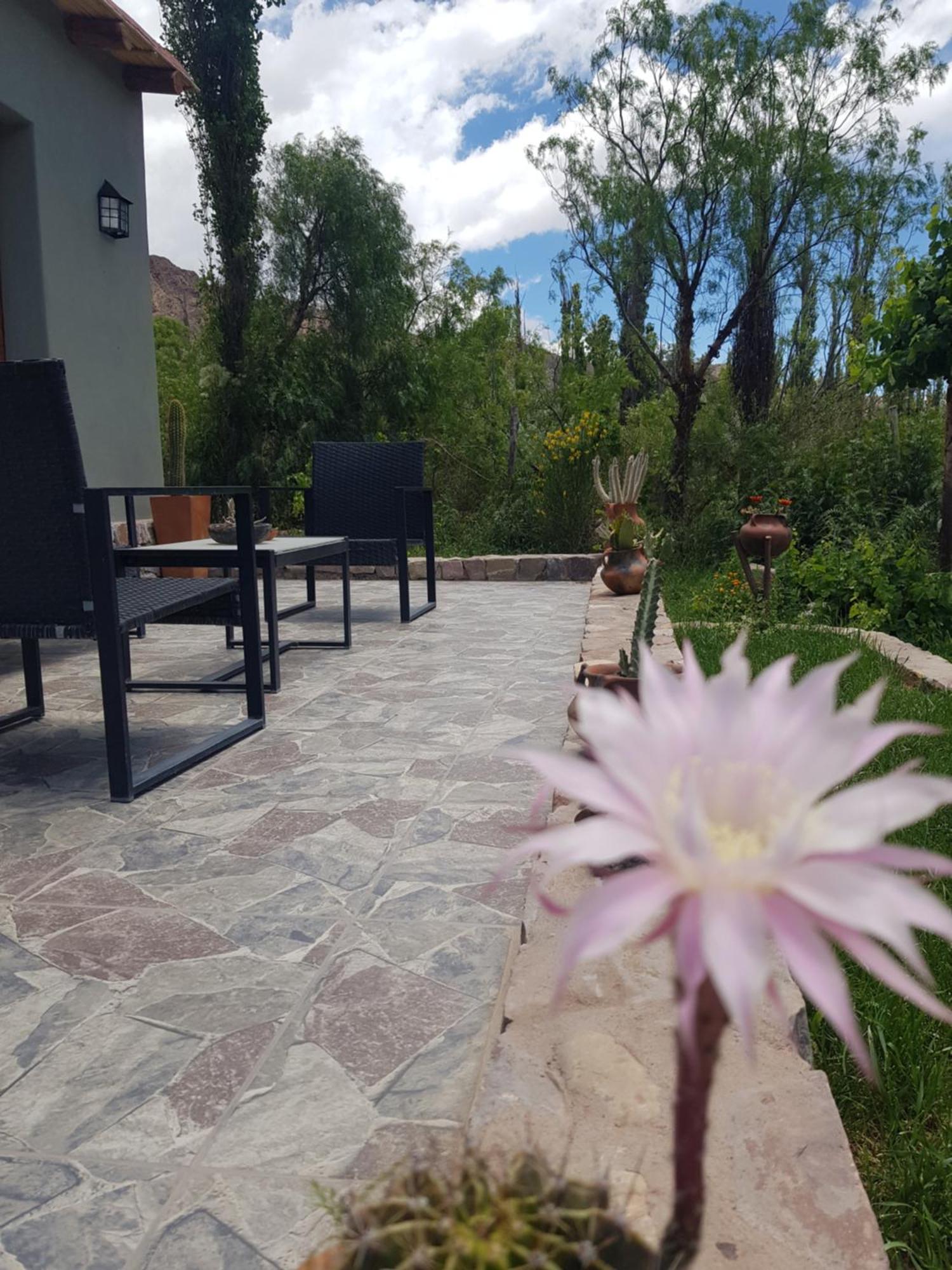 Appartement Tierra Primitiva à Tilcara Extérieur photo