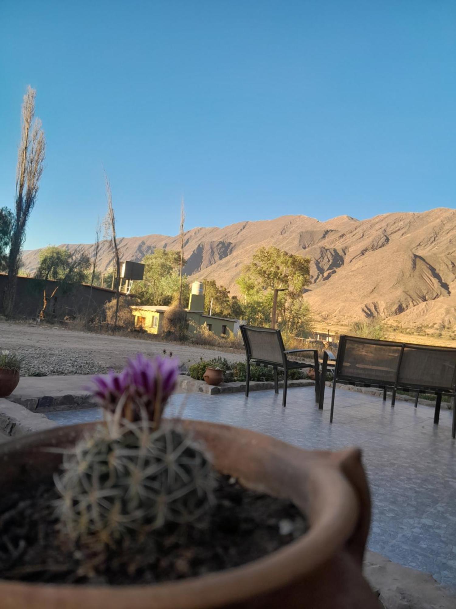 Appartement Tierra Primitiva à Tilcara Extérieur photo