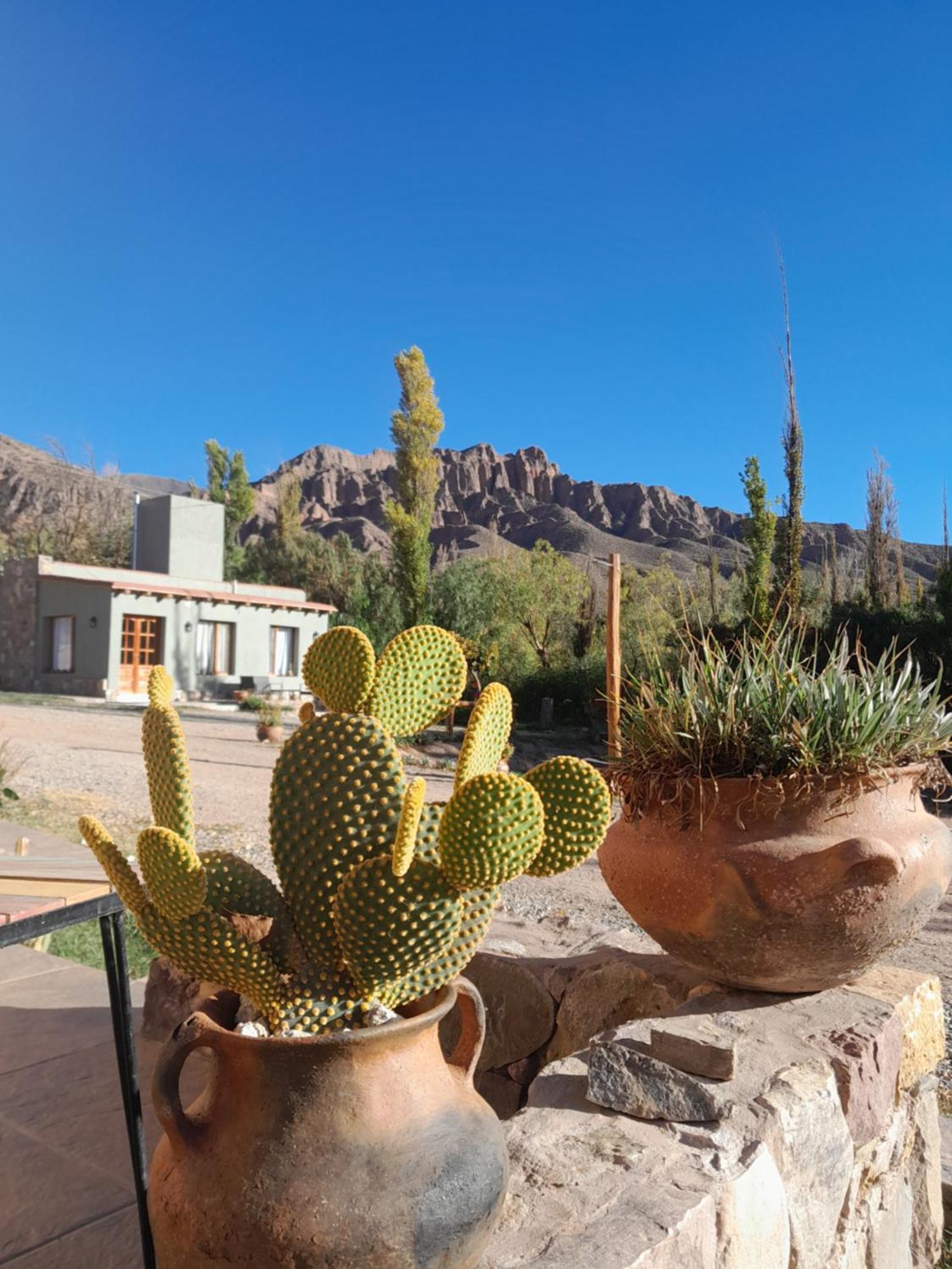 Appartement Tierra Primitiva à Tilcara Extérieur photo