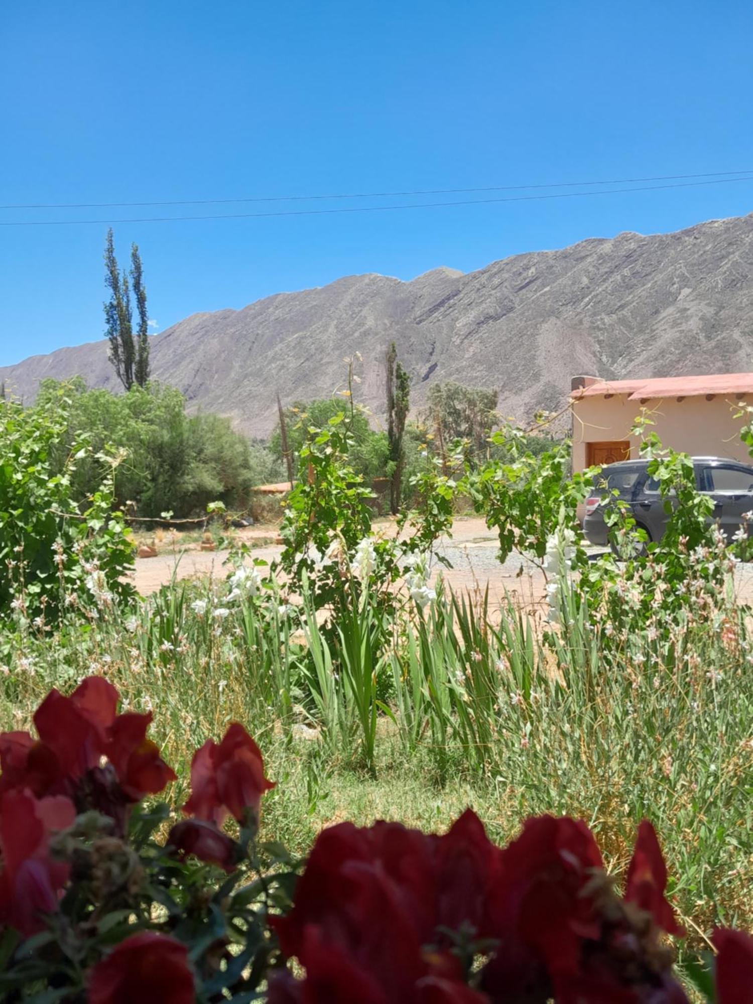 Appartement Tierra Primitiva à Tilcara Extérieur photo